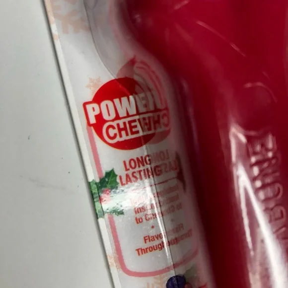 2 Pack Nylabone long lasting chew bones Winter Green, Turkey & Berries Flavor - Picture 4 of 9